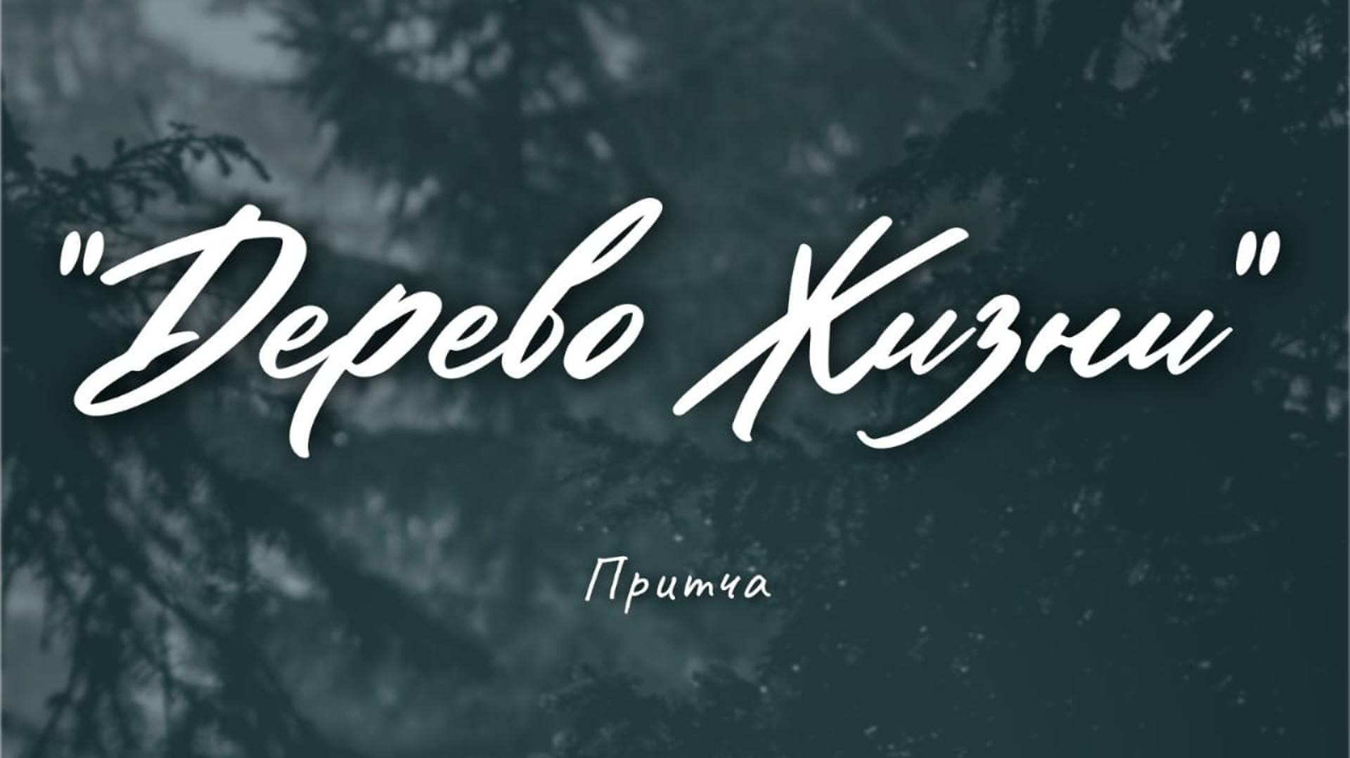 История 