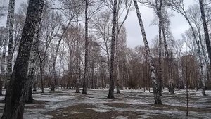 Свекровь унизила невестку на свадьбе: ее ответ заставил гостей обомлеть