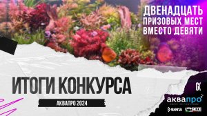 Итоги конкурса АкваПро 2024