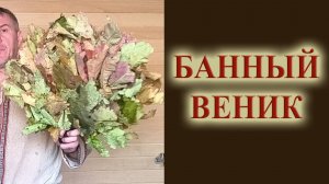 Все о вениках в бане