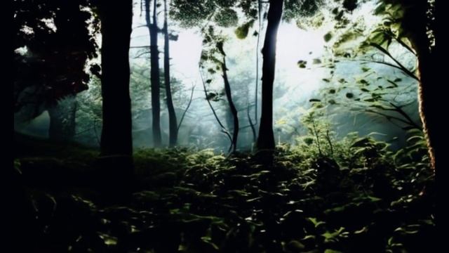 Использовать карты Таро для развития интуиции и ясновидения. Глава одиннадцатая - Работа с медиумам смотреть онлайн