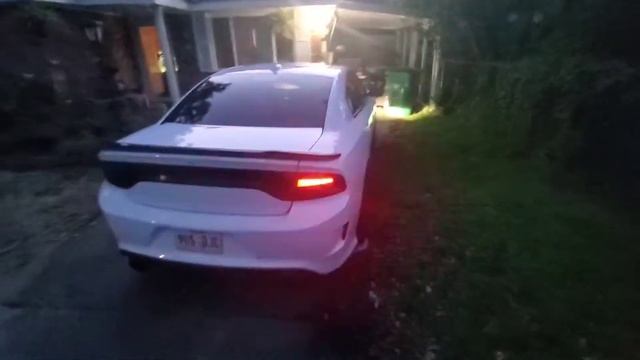 Z automotive tazer light show смотреть онлайн