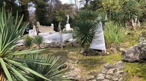 РАСТЕНИЯ, КОТОРЫЕ ХОЧЕТСЯ ИМЕТЬ В САДУ. Март 2024. Прогулка в Сочи.