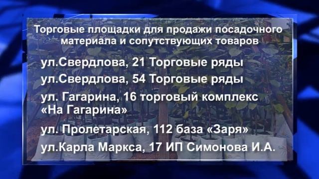 Кунгур.ТВ 27 04 2020 Торговые площадки для продажи посадосного материала