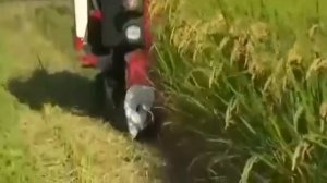 Zamonaviy qishloq xo‘jaligi texnikalari