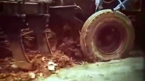 В согласии с природой (о безотвальной системе земледелия Т.С.Мальцева)