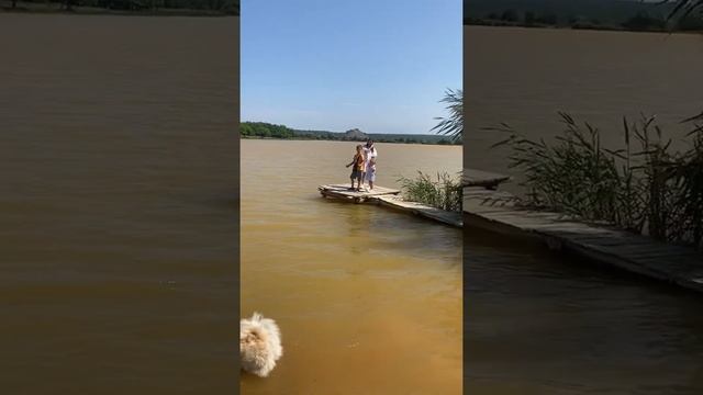 Енакиево ржавая вода смотреть онлайн