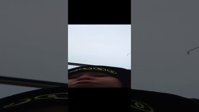 болтаю
