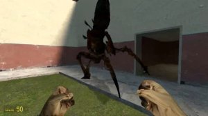 ДЫО!?