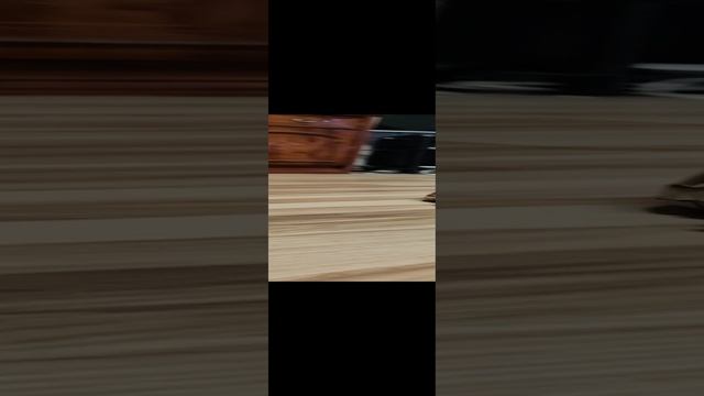 робот для собак  Мама Марк и Настя 