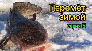 ПЕРЕМЁТ зимой. Серия 5: Чулым порадовал! Есть налимы!