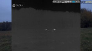 Полевой тест ThermTec Cyclops 335 PRO, ThermTec Cyclops 650D и Pulsar Axion 2 XG35. Что выбрать?