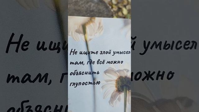Совет от Вселенной на Сегодня? Оракул #таро #tarot #гадание #таролог #тароонлайн #tarotube #оракул