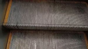 Вива Ленд. Если оптимист в душе, то тебя не сбить уже, все своё всегда возьмешь.  С друзьями вместе.