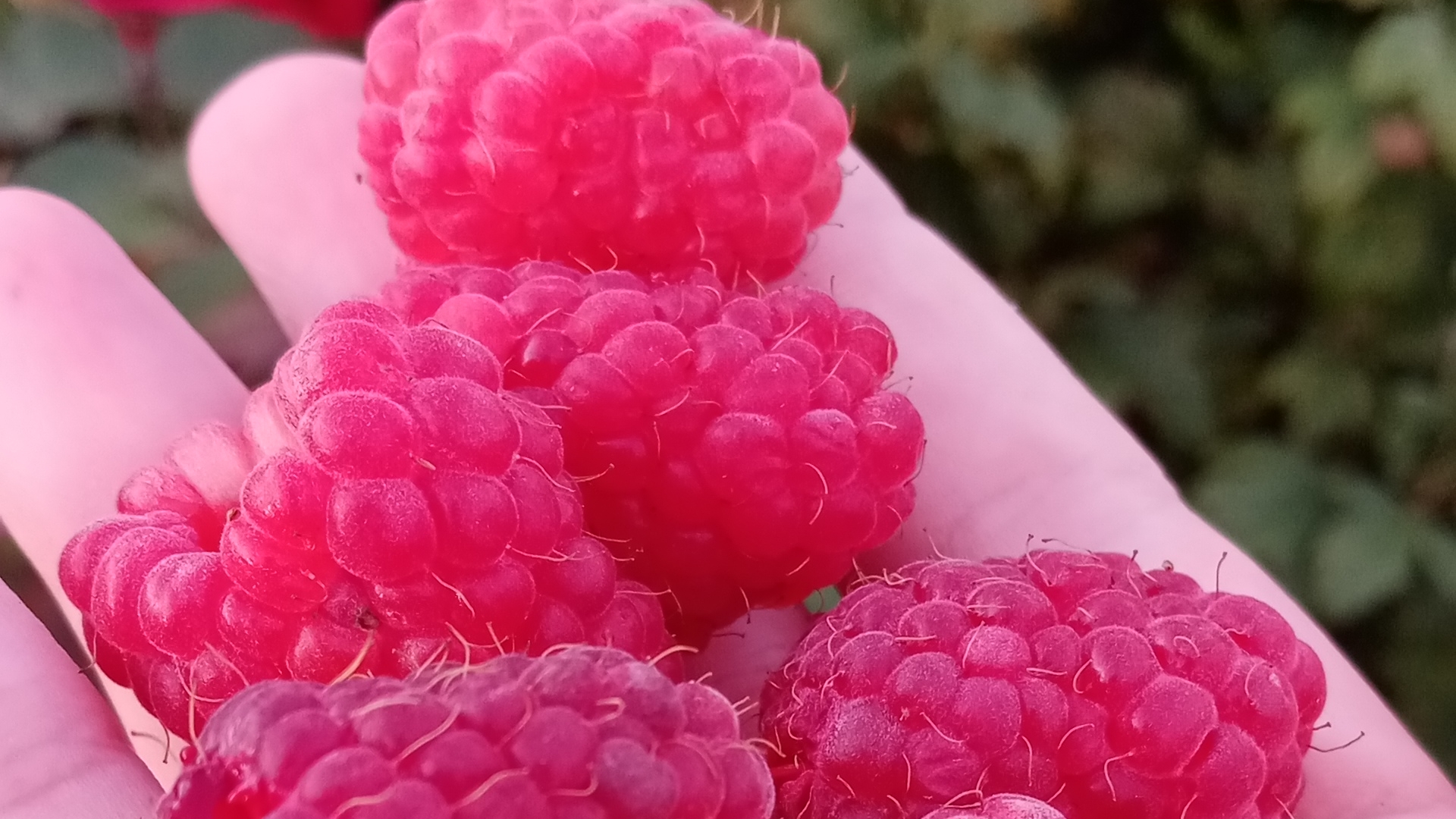 Летнее настроение смотреть онлайн