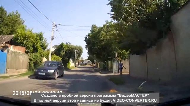 СОБАКИ ТОЖЕ ЗНАЮТ ПРАВИЛО ДВИЖЕНИЯ смотреть онлайн