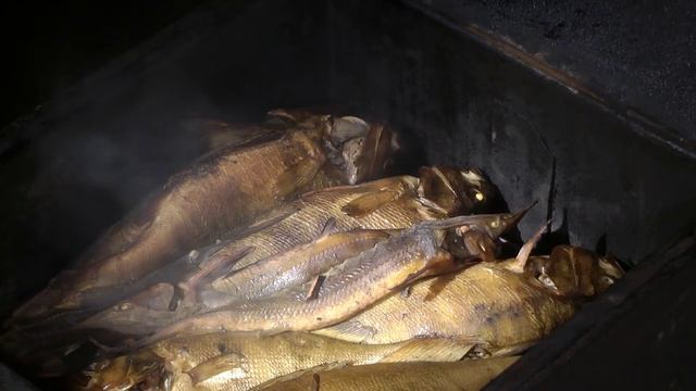 Обь -  ещё раз о рыбалке