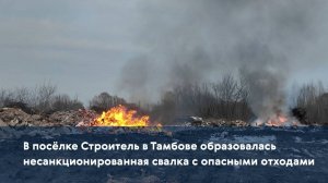 В посёлке Строитель в Тамбове образовалась несанкционированная свалка с опасными отходами
