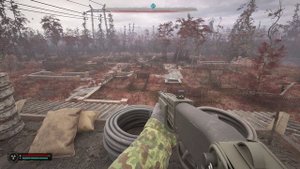 Рыжий лес. Лесное кладбище