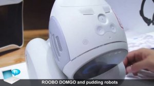 ROOBO DOMGO and pudding robots