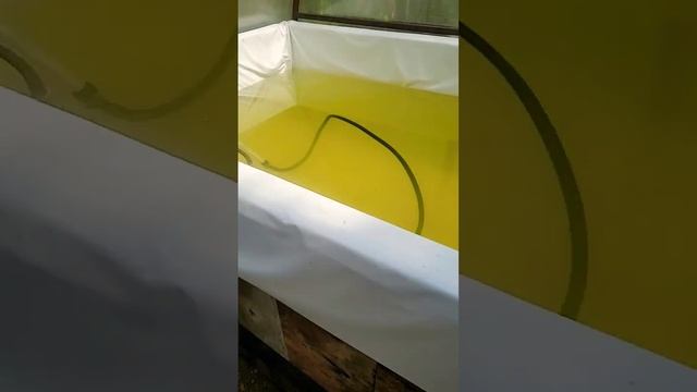 Закрытый бассейн из теплицы