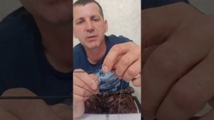 Тремпель на толстолобика. Детальный обзор.