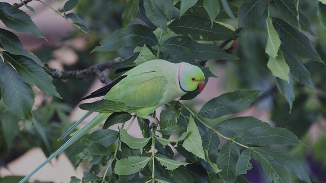 Живописные уголки нашей земли в 4К HDR смотреть онлайн
