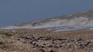 ЕйскРемонт в Моревке. ШТОРМ И БАРКАС. УХЕЙИЛЮЙ. ТЮМЕНЬ ЗАТОПИЛО. И МНОГОЕ ДРУГОЕ...
