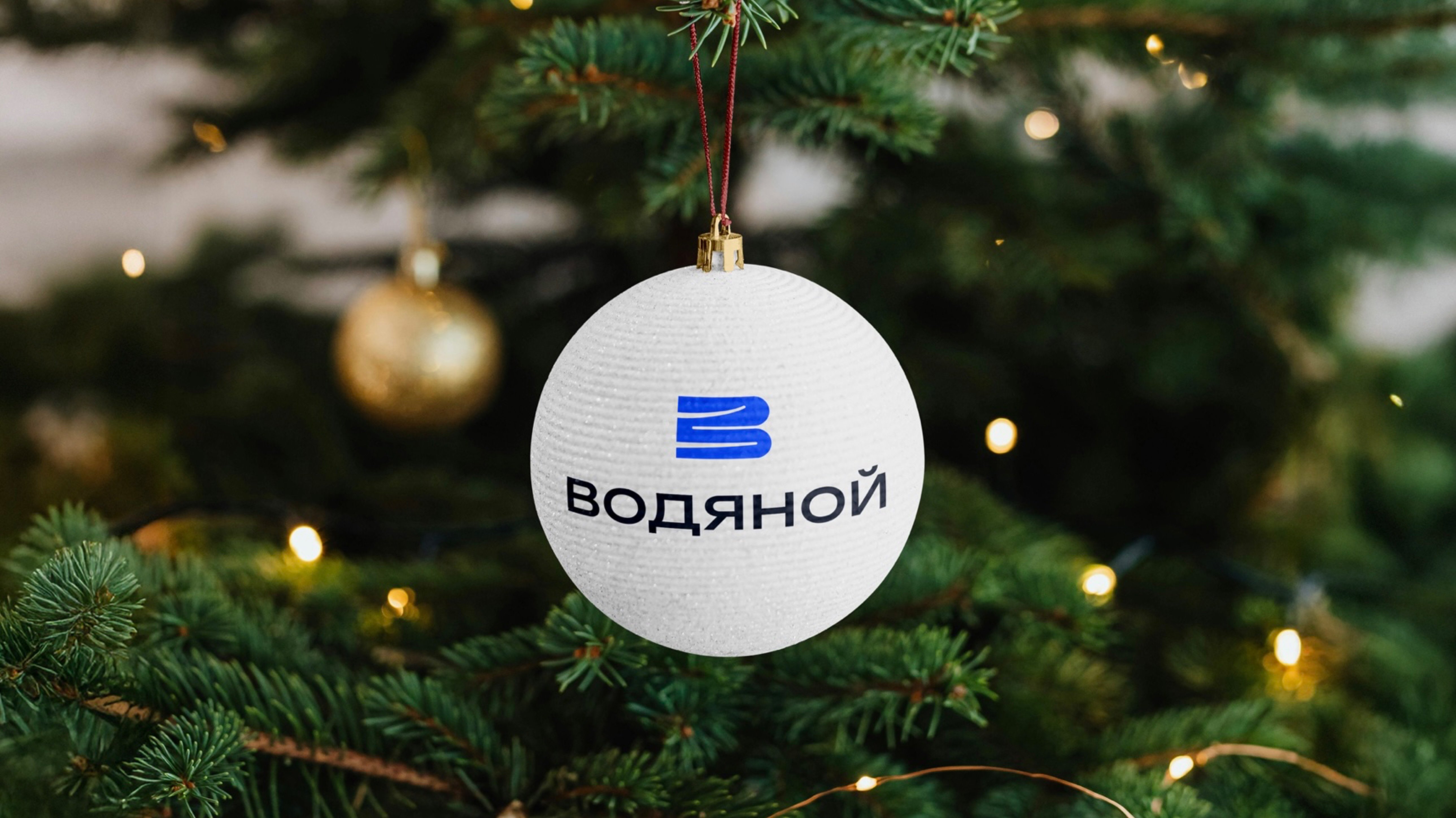 Поздравление с Новым 2025 годом!