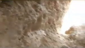 ШОХМИСАН ТАЕР ТУР ГАДО БОЛИШГА