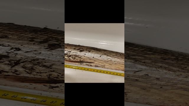 Щука 7,3 кг смотреть онлайн