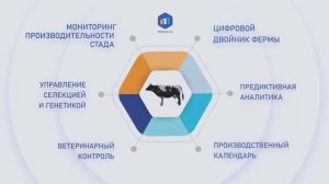 МОЛОКО 2.0 - Инновационная Российская система управления стадом