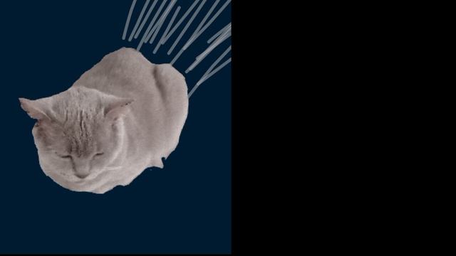 скоростные лица бони 18 фаз смотреть онлайн