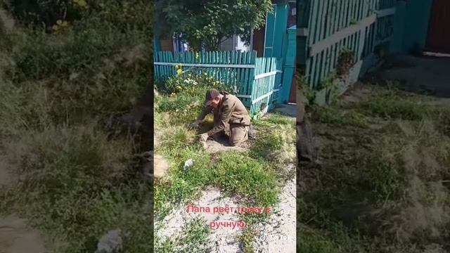 из дп