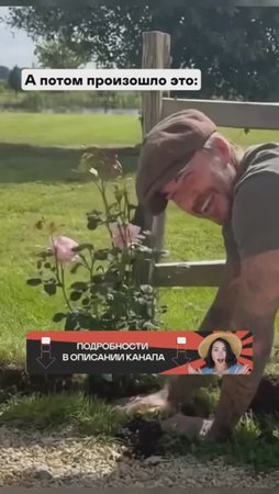 Что делает Дэвид Бэкхем у себя на участке?