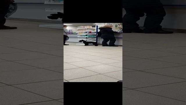 почта