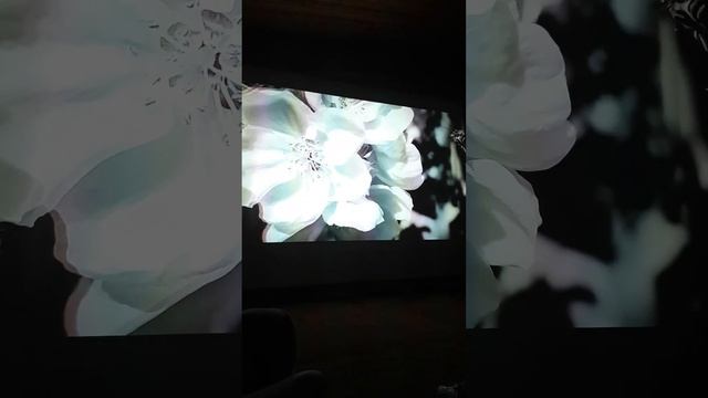 Тарковский. Вселенные (3)