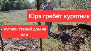 54//Купили старый дом на Юге.В станице дешевле.Юра весь в делах.Кошки осваивают новый дом.
