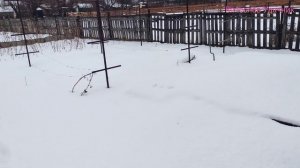 Приехал кормить кошечку, Машу!