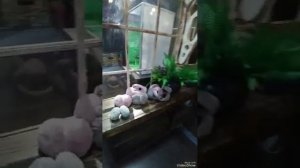 ДВЕРИ В ХОГВАТРС