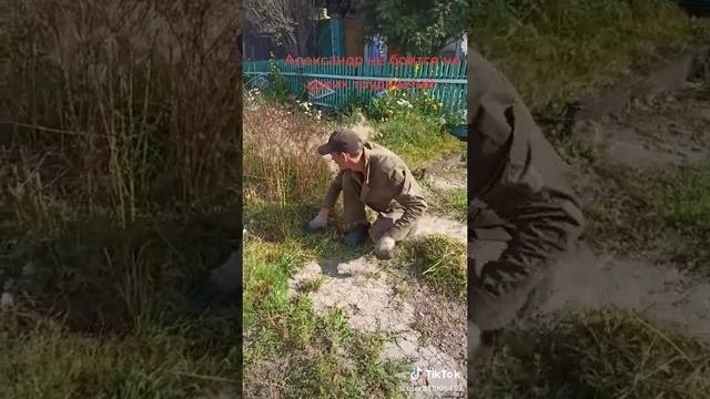 из дп