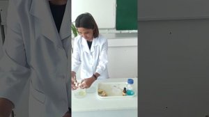 №4-практикалық жұмыс (1) Химия 7-сынып