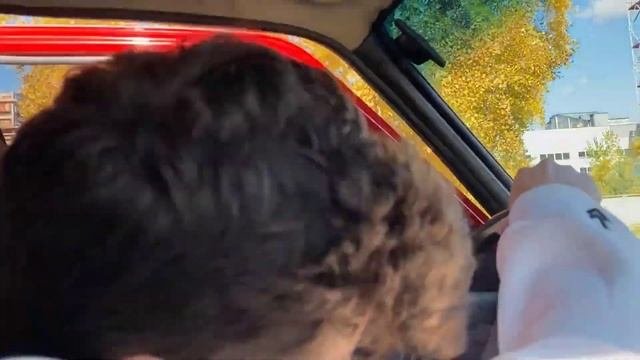 Купили автомобиль на аукционе за 250 тысяч, а там...