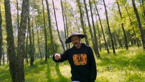 Piterville - Танцы