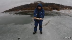 Видеоотчëт о рыбалке со льда на реке Проня. Зимняя рыбалка в Рязанской области.