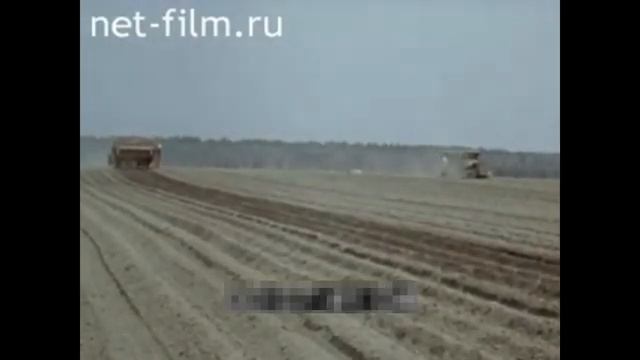 Технология возделывания картофеля
