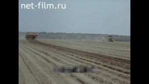 Технология возделывания картофеля