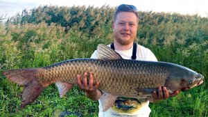 Поймал -  отпусти, огромный Амур, долгое вываживание.