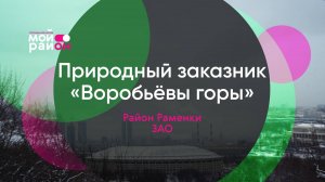 Гуляем по заснеженным Воробьёвым горам