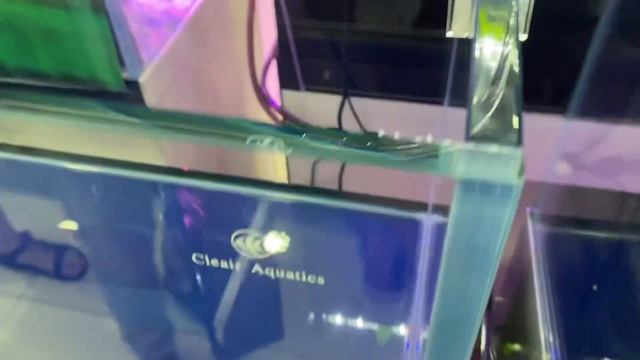 Тошкентдаги AquaStar (Kalilpso)Аквариум маркази ! Аквариумный центр AquaStar смотреть онлайн